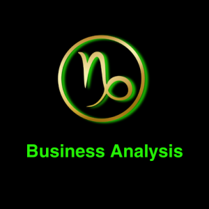Business Analysis