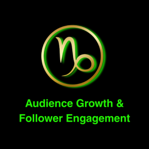 Audience Growth & Follower Engagement